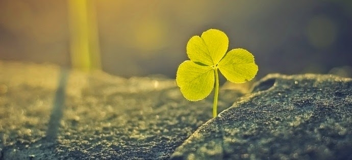 Benim Hâlâ Umudum Var