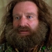 Jumanji: Welcome to the Jungle Filminden Robin Williams İçin Saygı Duruşu
