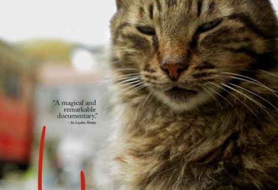 9 Haziran’da Vizyonda!