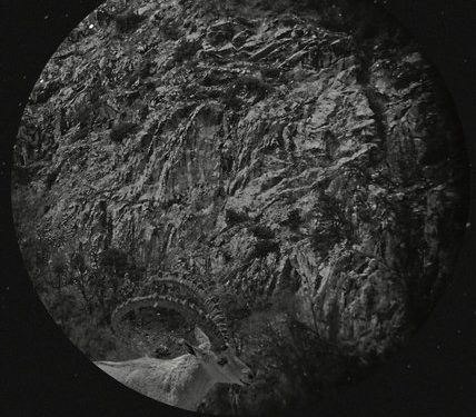 Cinelab Ödülü “Meteorlar” Filmine Verildi !