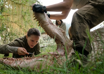 Annihilation’ın İlk Fragmanı Yayımlandı