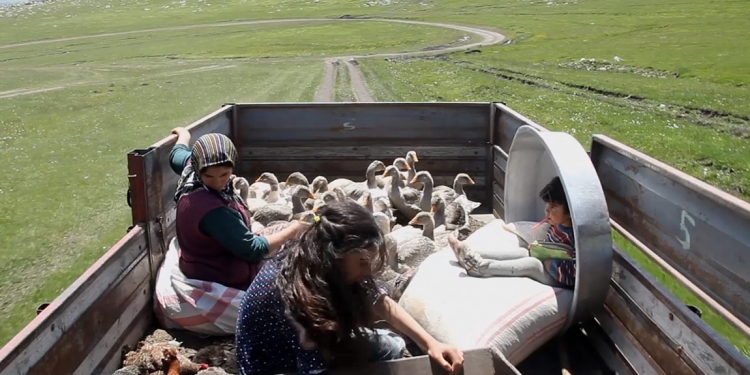 Mardin’de Şimdi Sinema Zamanı