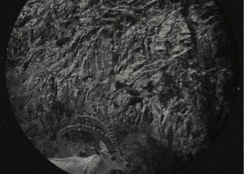 Meteorlar Filmine İki Büyük Ödül Daha!