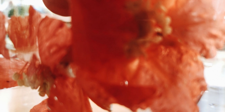 Yaşamın İçinden Gelen Filmler