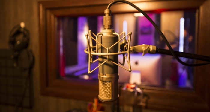 Neyin Nesi, Kimin Sesi: Dublaj Sanatçıları