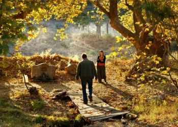 Ceylan Kasabasına Geri Dönüyor: Ahlat Ağacı (2018)