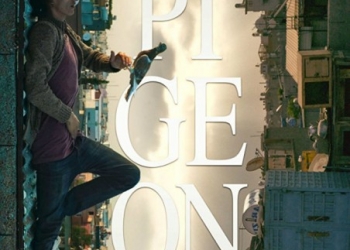 Güvercin Eylül’de Kanatlanmaya Hazır