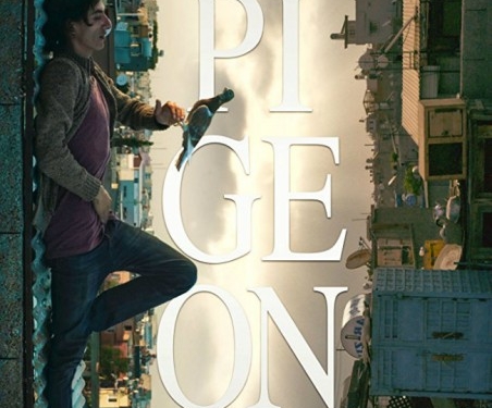 Güvercin Eylül’de Kanatlanmaya Hazır