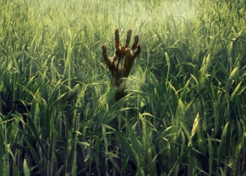 Patrick Wilson Stephen King’in The Tall Grass Uyarlamasında Rol Alacak