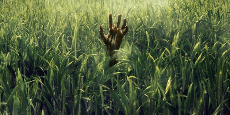 Patrick Wilson Stephen King’in The Tall Grass Uyarlamasında Rol Alacak