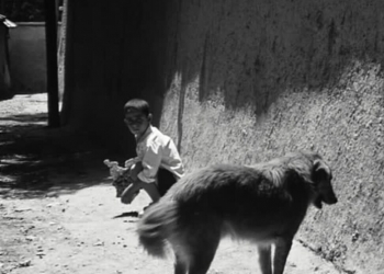 Sinema Yolculuğuna Başlangıç: Yönetmenlerden Kısalar