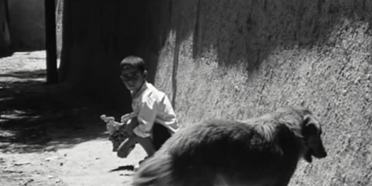 Sinema Yolculuğuna Başlangıç: Yönetmenlerden Kısalar