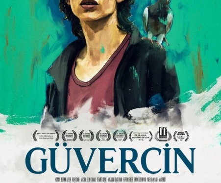 Güvercin, Vizyon Yolculuğundan Önce Başka Çarşamba’da