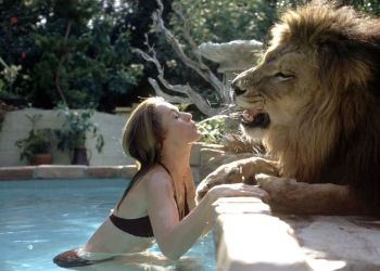 İstanbul Modern Sinema’dan: Yakın Temas