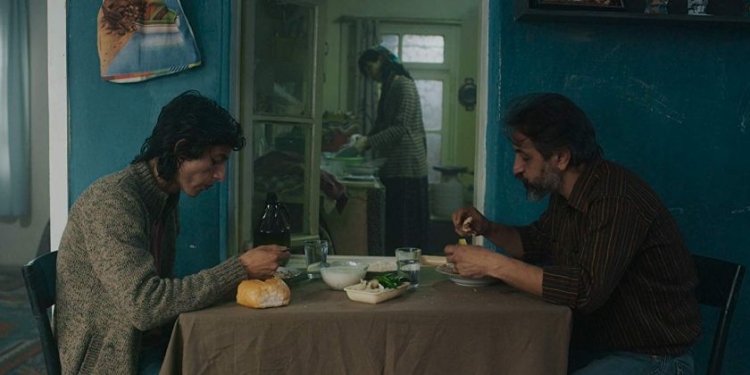 Muğlaklığın Gölgesinde: Güvercin (2018)