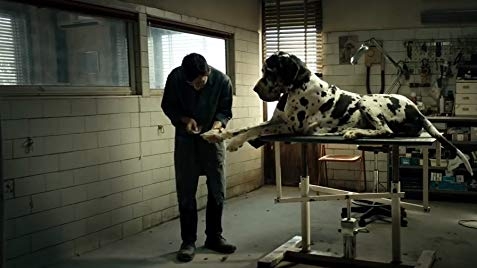 İyiliğin Kefaretini Ödeyen Adam: Dogman (2018)