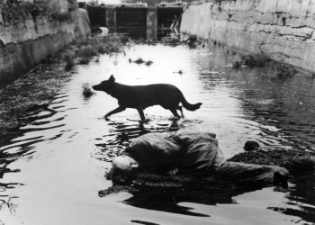Semih Kaplanoğlu’nun Buğday’ında Tarkovski Yansımaları