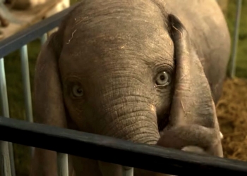 Tım Burton’ın Dumbo’sundan Yeni Fragman Yayınlandı
