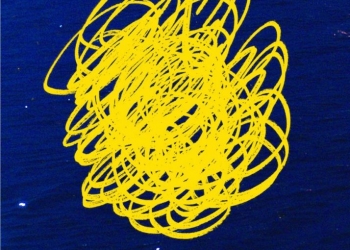 Amerikalı Eleştirmenlerden Aidiyet’e Övgü