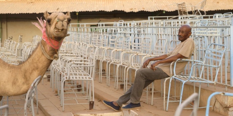 38. İstanbul Film Festivali: Talking About Trees