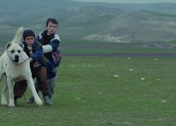 Köpeğin de Canı Yok mu?: Sivas (2014)