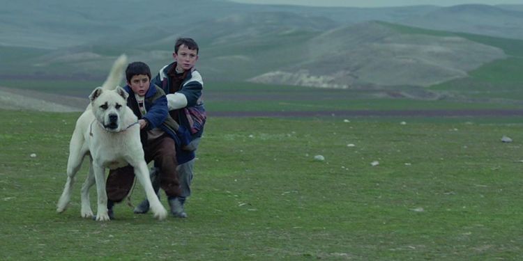 Köpeğin de Canı Yok mu?: Sivas (2014)