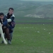 Köpeğin de Canı Yok mu?: Sivas (2014)