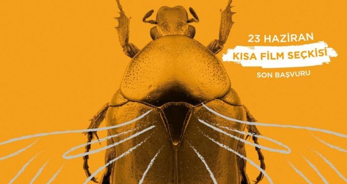 4. Çalı Köy Filmleri Festivali