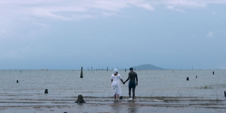 Pera Film’den 16. İstanbul Bienali’ne Özel Program: “Ansızın Bir Yabancı Belirir”