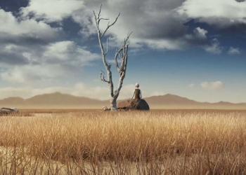 !f’ten Bir Bakış- Kozmik Bir Kısırdöngü: Türkiye’den Kısalar ve Avarya (2018)