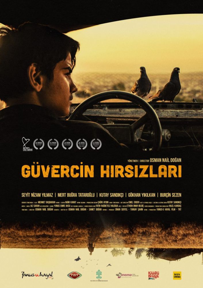 Eve Gelen Hirsizdan Korkan Kadin ıtalyan Dvd