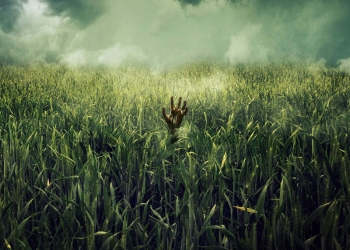 In the Tall Grass (2019)