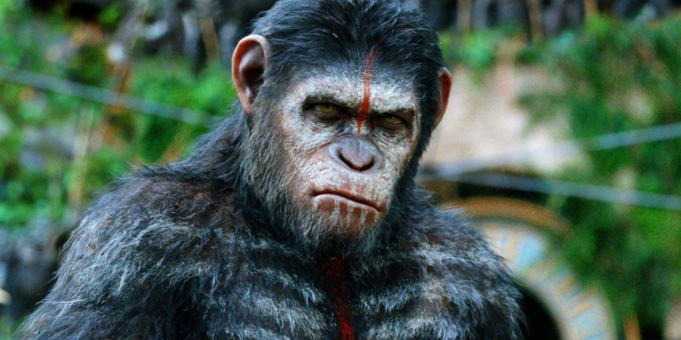 Yeni Planet of Apes Filminin Yönetmeni Wes Ball Olacak