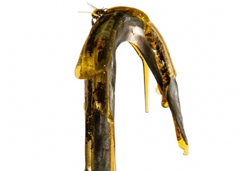 Candyman’in Afişi Yayınlandı