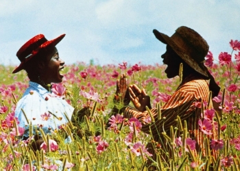 Güçlü Kadınların Filmleri