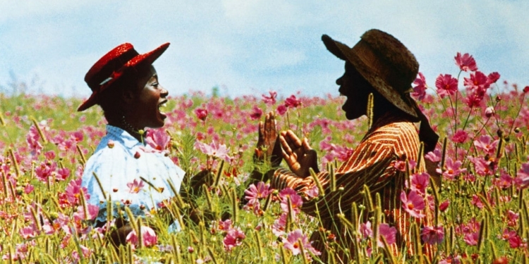 Güçlü Kadınların Filmleri