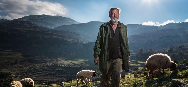 Documentarist ve Filmmor Çevrimiçi  Film Günleri Düzenliyor