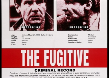 The Fugitive (1993)