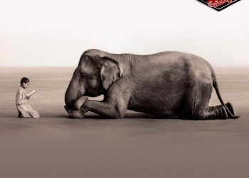 Doğaya Saygı: Yeryüzünün Misafirleri