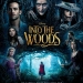 Into the Woods (2015)