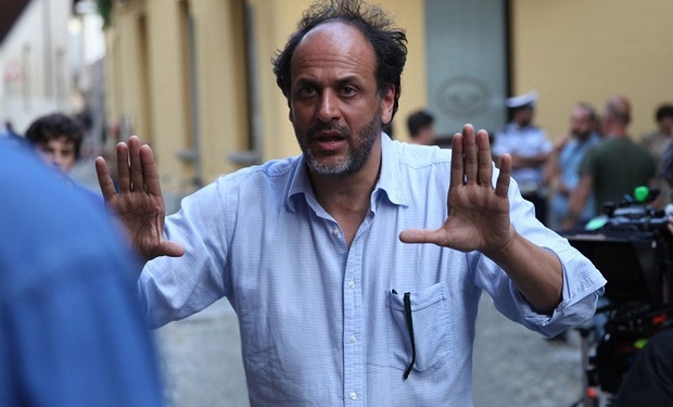 luca guadagnino hollywood sinema filmi belgesel