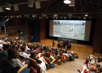 Selanik Film Festivali Online Gösterimde