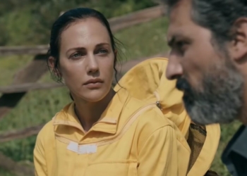 19. boston türk film festivali kovan filmi