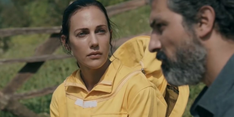 19. boston türk film festivali kovan filmi