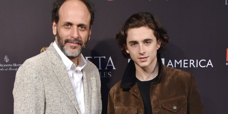 Luca Guadagnino, Timothée Chalamet ile Yeniden Bir Araya Geliyor