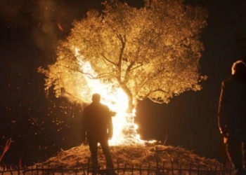 53. SİYAD Türkiye Sineması Ödülleri Adayları Belli Oldu!
