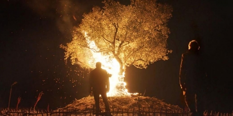 53. SİYAD Türkiye Sineması Ödülleri Adayları Belli Oldu!