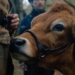 Beyaz İnsanın Medeniyeti(!) İnşası: First Cow (2019)