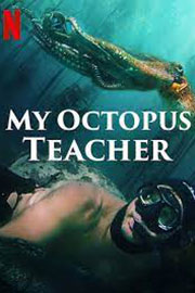 MY OCTOPUS TEACHER