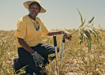 SALT’ın “Bu Son Şansımız mı?” Gösterimi Başlıyor